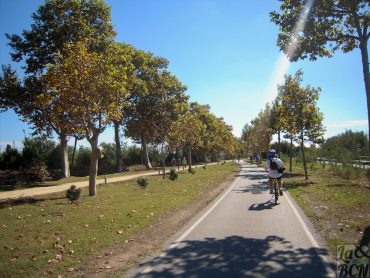 Passejada en bici pel Parc Fluvial del riu Llobregat