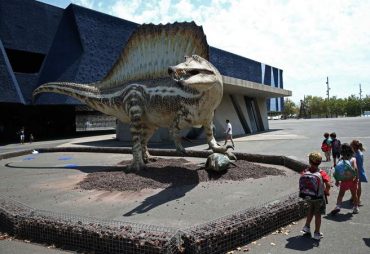 Spinosaurus, el gegant perdut del cretaci